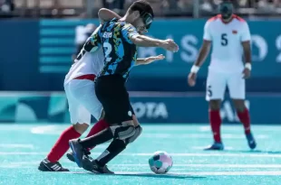 Los Murciélagos