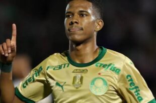 Palmeiras le arruinó el festejo al Botafogo y lleva todo a la última fecha