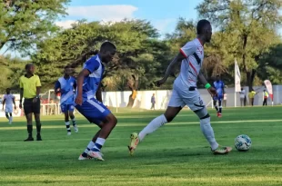 Botswana tiene dos líderes que cortan la hegemonía de los Rollers