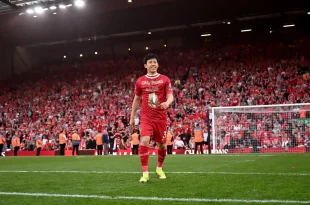 Liverpool se consagró campeón inglés